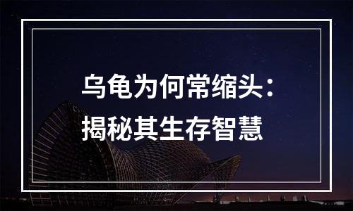 乌龟为何常缩头：揭秘其生存智慧