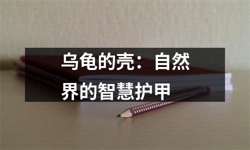 乌龟的壳：自然界的智慧护甲