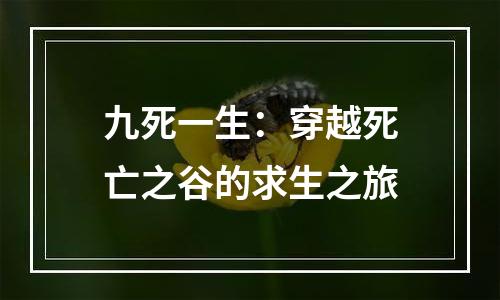 九死一生：穿越死亡之谷的求生之旅