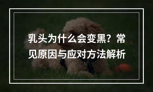 乳头为什么会变黑？常见原因与应对方法解析