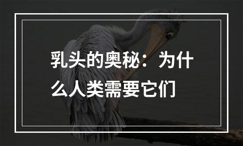 乳头的奥秘：为什么人类需要它们