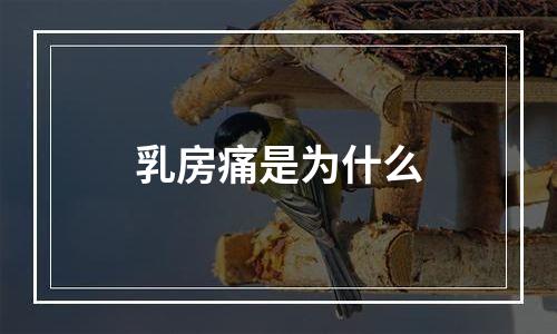 乳房痛是为什么