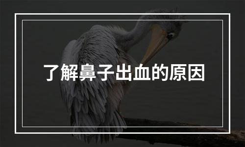 了解鼻子出血的原因