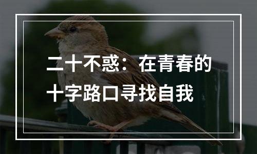 二十不惑：在青春的十字路口寻找自我