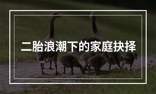 二胎浪潮下的家庭抉择