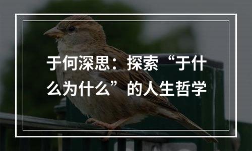 于何深思：探索“于什么为什么”的人生哲学