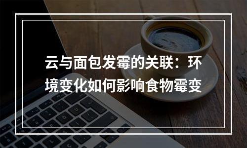 云与面包发霉的关联：环境变化如何影响食物霉变