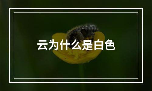 云为什么是白色