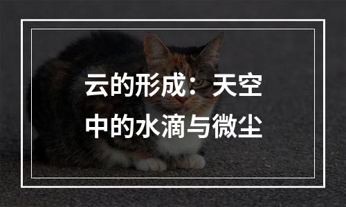 云的形成：天空中的水滴与微尘
