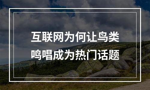 互联网为何让鸟类鸣唱成为热门话题
