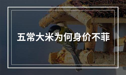 五常大米为何身价不菲
