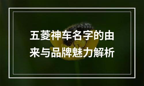 五菱神车名字的由来与品牌魅力解析