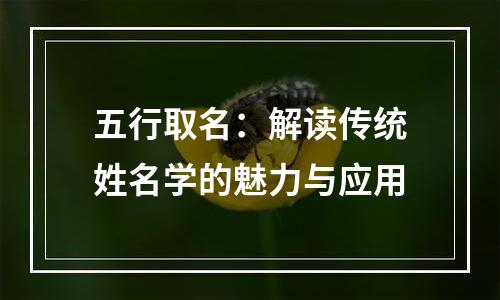 五行取名：解读传统姓名学的魅力与应用