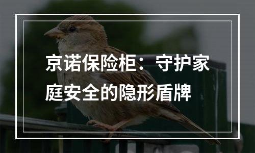 京诺保险柜：守护家庭安全的隐形盾牌