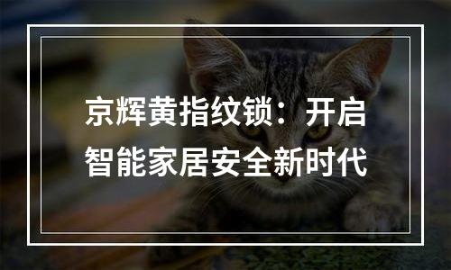 京辉黄指纹锁：开启智能家居安全新时代