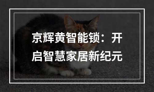 京辉黄智能锁：开启智慧家居新纪元
