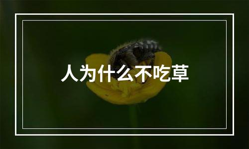 人为什么不吃草