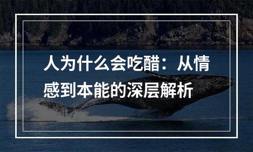 人为什么会吃醋：从情感到本能的深层解析