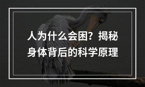 人为什么会困？揭秘身体背后的科学原理