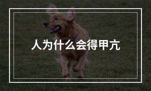 人为什么会得甲亢