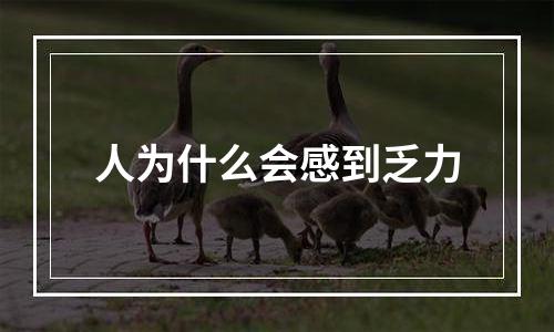 人为什么会感到乏力