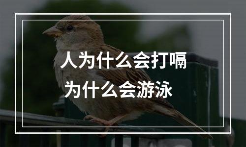 人为什么会打嗝 为什么会游泳