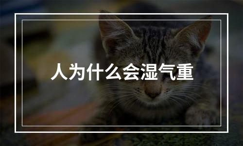 人为什么会湿气重