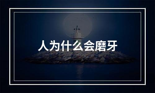 人为什么会磨牙