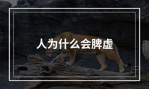 人为什么会脾虚