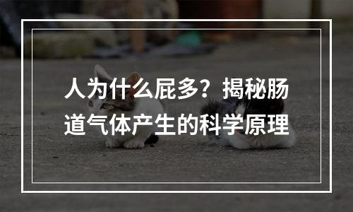 人为什么屁多？揭秘肠道气体产生的科学原理