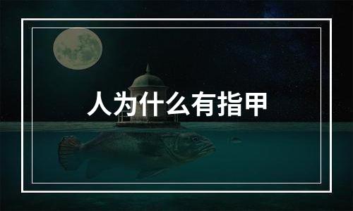 人为什么有指甲