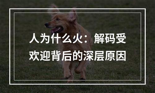 人为什么火：解码受欢迎背后的深层原因