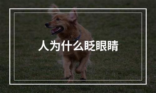 人为什么眨眼睛