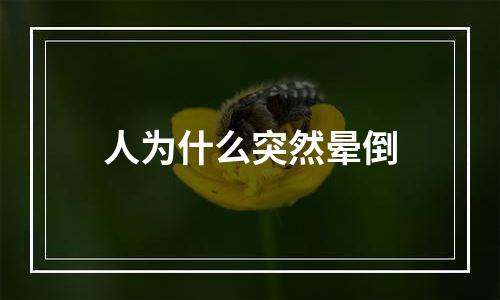 人为什么突然晕倒