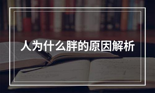 人为什么胖的原因解析
