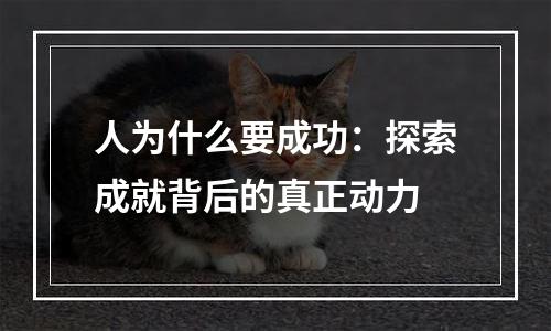 人为什么要成功：探索成就背后的真正动力
