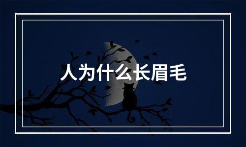 人为什么长眉毛