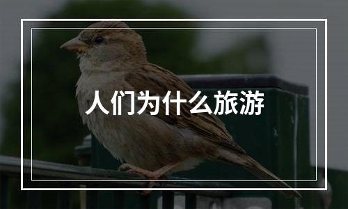 人们为什么旅游