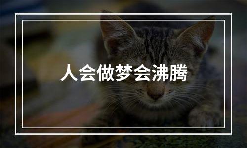 人会做梦会沸腾
