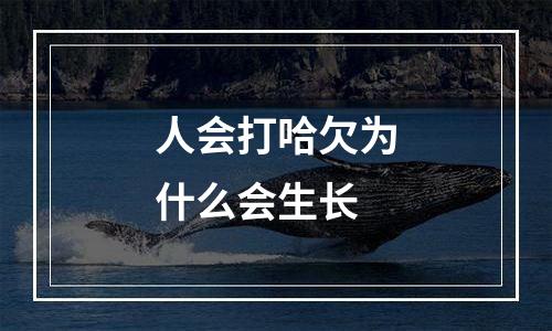 人会打哈欠为什么会生长