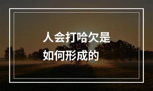 人会打哈欠是如何形成的