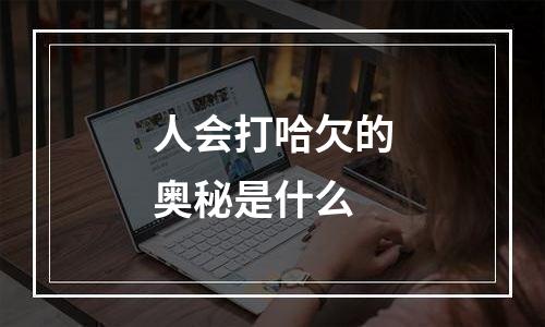 人会打哈欠的奥秘是什么