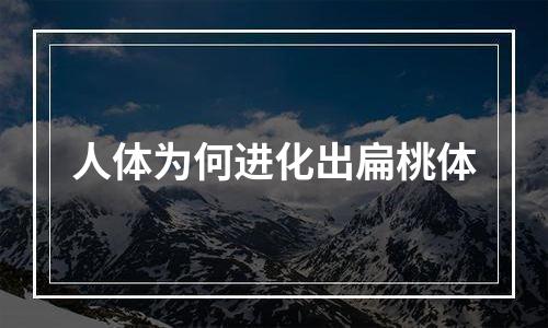 人体为何进化出扁桃体