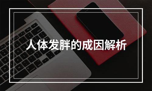 人体发胖的成因解析