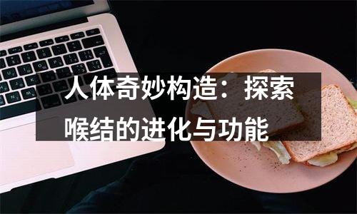 人体奇妙构造：探索喉结的进化与功能