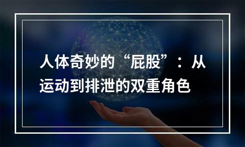 人体奇妙的“屁股”：从运动到排泄的双重角色