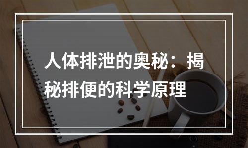 人体排泄的奥秘：揭秘排便的科学原理