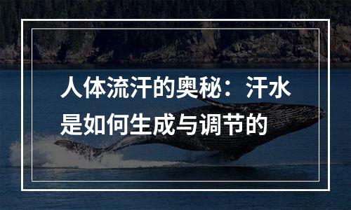 人体流汗的奥秘：汗水是如何生成与调节的