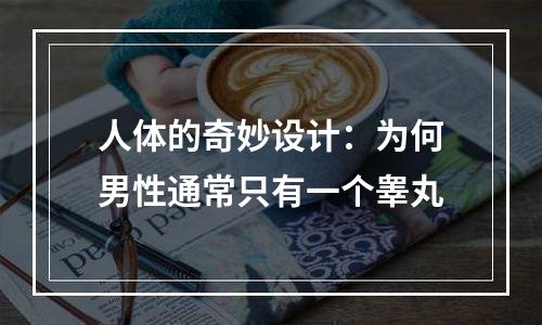 人体的奇妙设计：为何男性通常只有一个睾丸