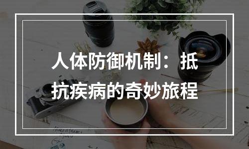 人体防御机制：抵抗疾病的奇妙旅程
